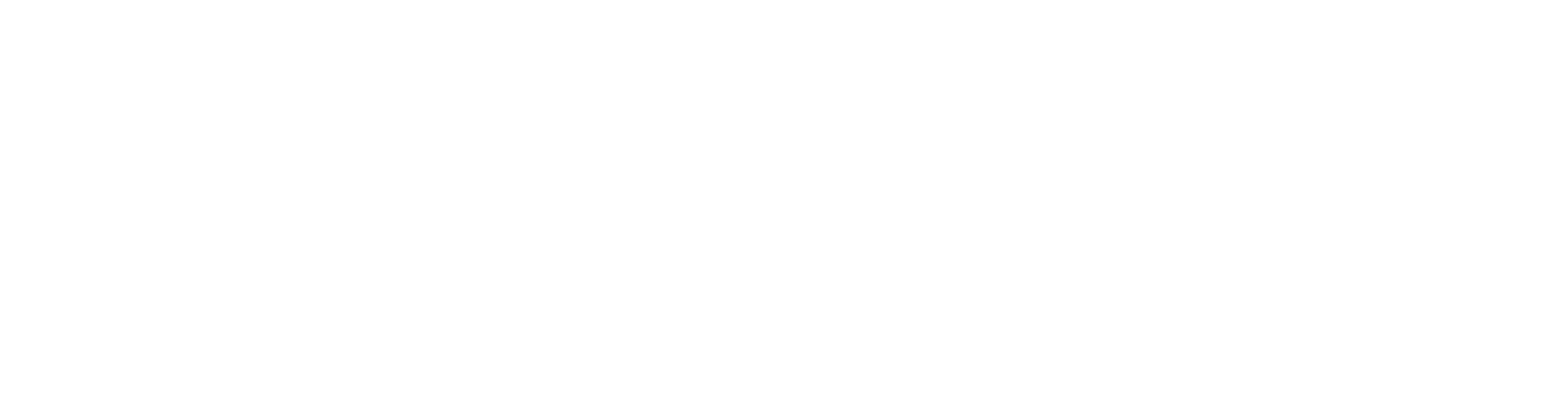 Paksan logo